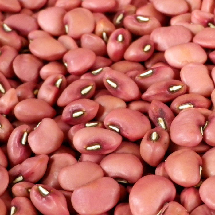 red-cow-pea