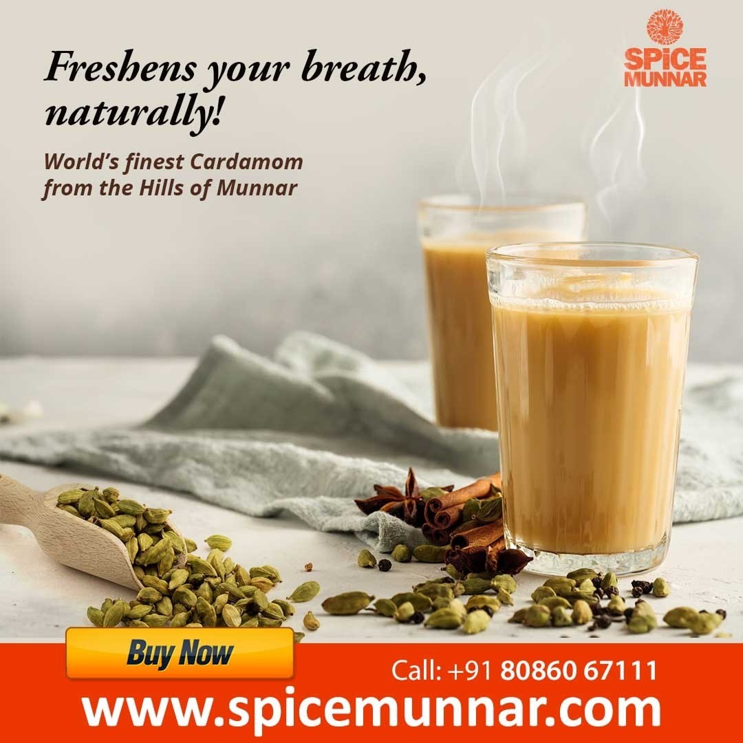 Kerala masala chai with cardamom and cinnamon, Spice Munnar