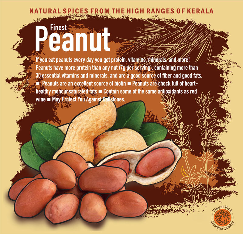 Spice Munnar Peanuts