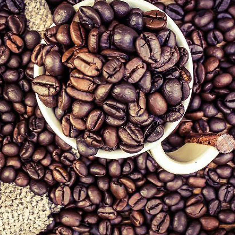 White cup filled with coffee beans surrounded by scattered coffee beans 