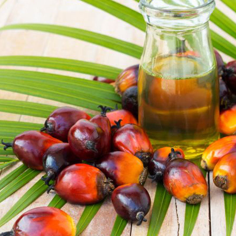 Paml Oil in a Glass Bottle