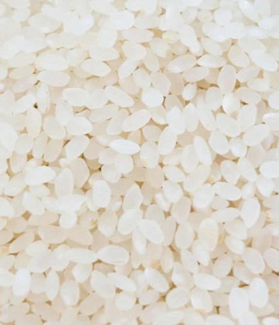 White Rice