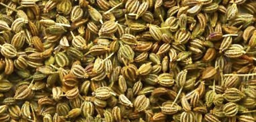 Ajwain seeds, buy online