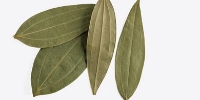 buy bay leaf online - spicemunnar.com