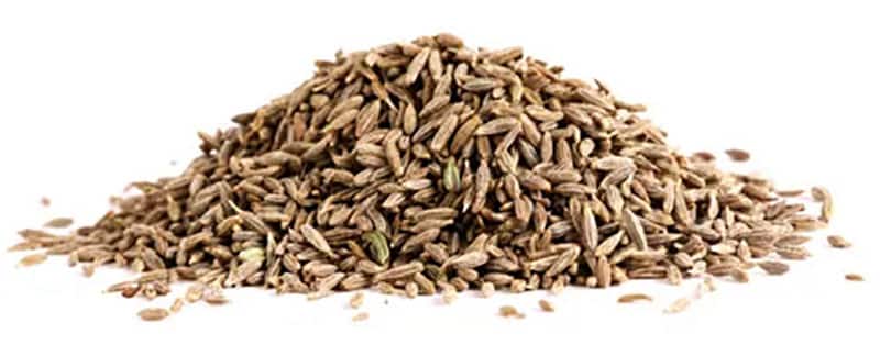 cumin-seed-kerala-spice-online