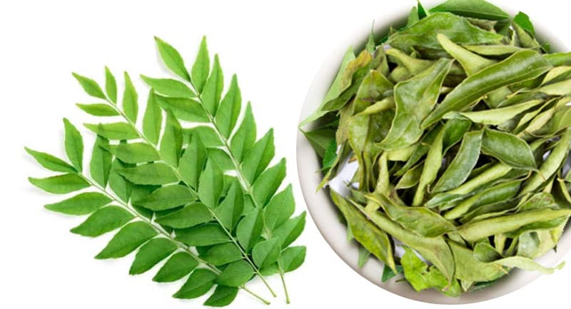 buy-curryleaf-online
spicemunnar.com