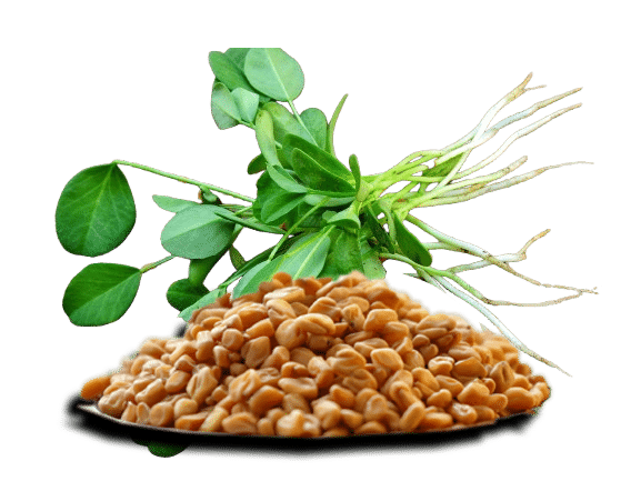 Buy Premium Fenugreek Seeds Online