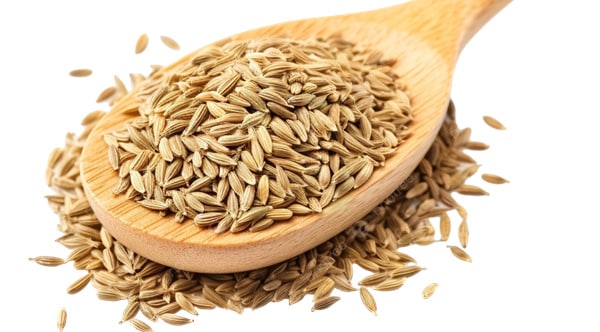 buy cumin seed online